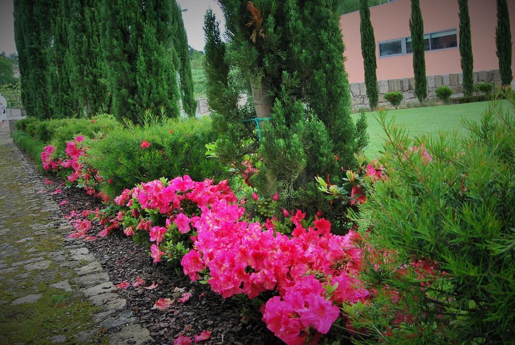 Hotel Quinta Da Cruz & Spa Oliveira  Εξωτερικό φωτογραφία